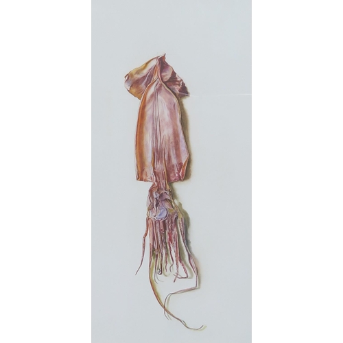 911 - <strong>RICHARD HUNTER RSW (SCOTTISH) </strong><br />DRIED SQUID <br />Mixed media, 51 x 2...