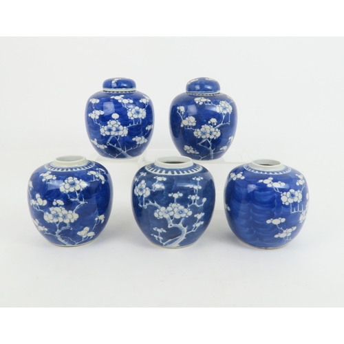 346 - FIVE CHINESE BLUE AND WHITE GINGER JARSeach painted with blossoming branches, 14cm high (5)... 