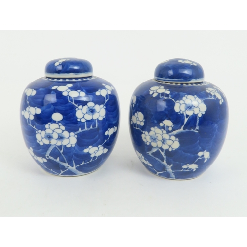 346 - FIVE CHINESE BLUE AND WHITE GINGER JARSeach painted with blossoming branches, 14cm high (5)... 