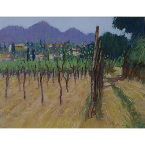 1029 - GEORGE DEVLIN (SCOTTISH 1937-2014) VINEYARD Pastel on paper, signed lower right, 21 x 28cm... 