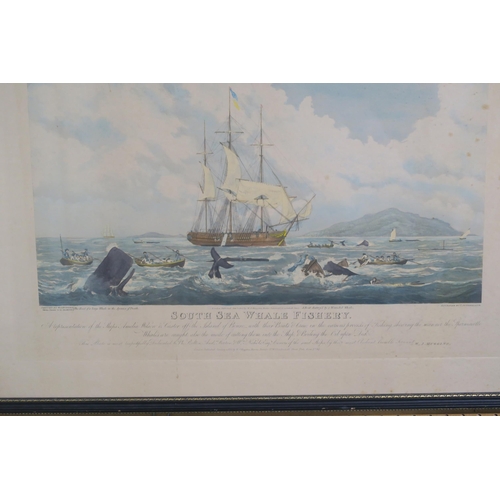 947 - AFTER W.J.HUGGINS ENGRAVED BY SUTHERLAND South Sea whaling fishery, colour engraving, 55 x 70cm... 