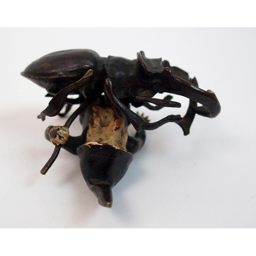 308 - A late 19th century Austrian cold painted bronze figure of a gnome and beetle