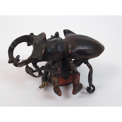 308 - A late 19th century Austrian cold painted bronze figure of a gnome and beetle