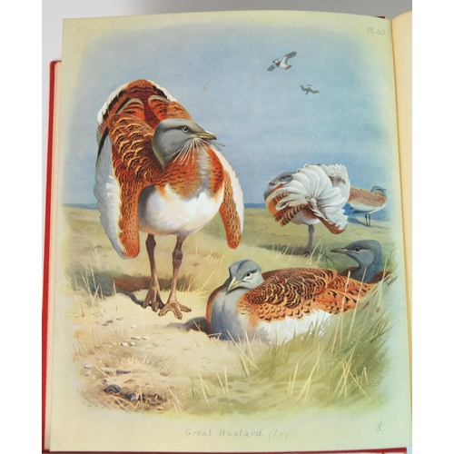 316 - British Birds by Archibald Thorburn