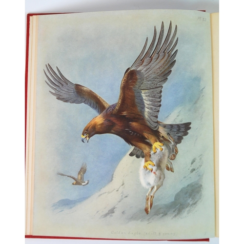 316 - British Birds by Archibald Thorburn