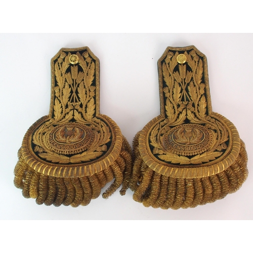 293 - A pair of gilded epaulettes