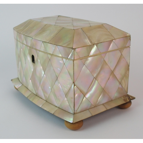 451 - A Regency abalone shell tea caddy