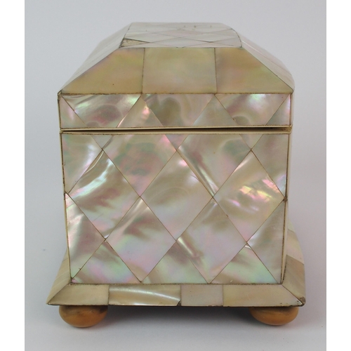 451 - A Regency abalone shell tea caddy