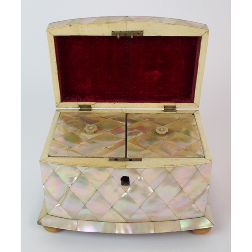 451 - A Regency abalone shell tea caddy