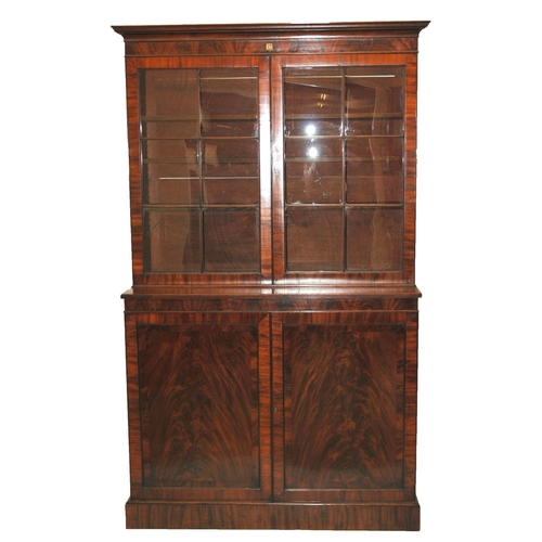 841 - A 19th Century mahogany library display breakfront bookcase