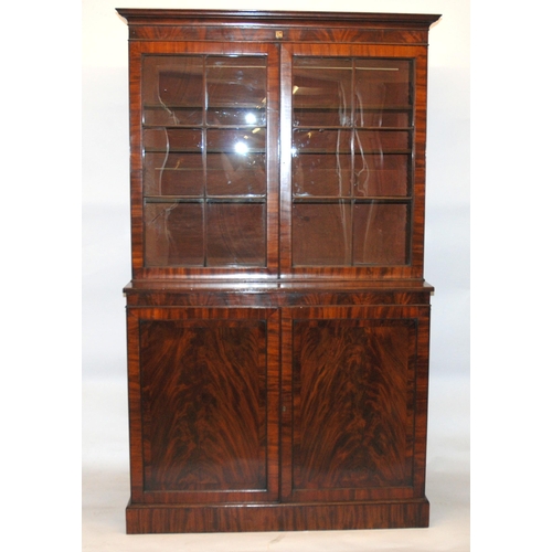 841 - A 19th Century mahogany library display breakfront bookcase