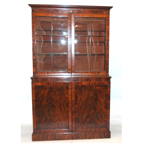 841 - A 19th Century mahogany library display breakfront bookcase