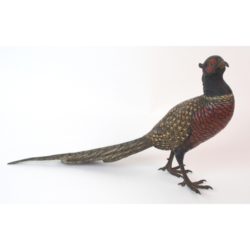 187 - An Austrian cold painted bronze bird  by Franz Xavier Bergman (Austrian  1861-1926)