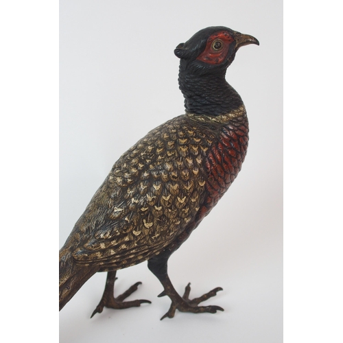 187 - An Austrian cold painted bronze bird  by Franz Xavier Bergman (Austrian  1861-1926)