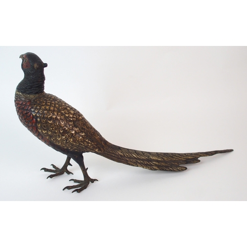 187 - An Austrian cold painted bronze bird  by Franz Xavier Bergman (Austrian  1861-1926)