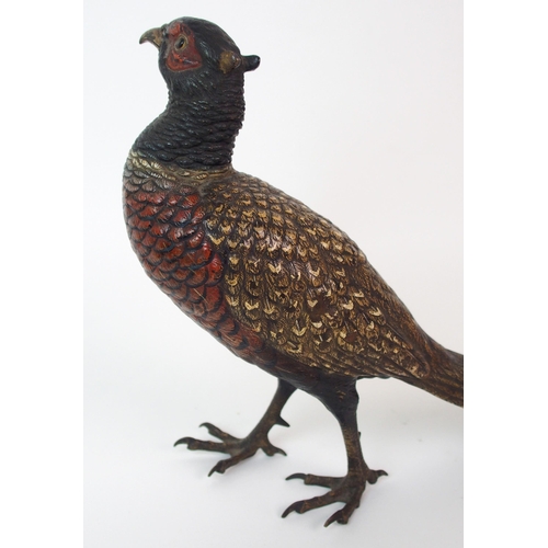 187 - An Austrian cold painted bronze bird  by Franz Xavier Bergman (Austrian  1861-1926)