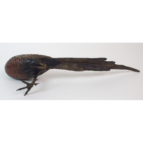 187 - An Austrian cold painted bronze bird  by Franz Xavier Bergman (Austrian  1861-1926)