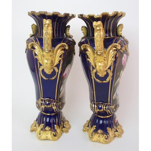 222 - A pair of Coalport painted porcelain vases