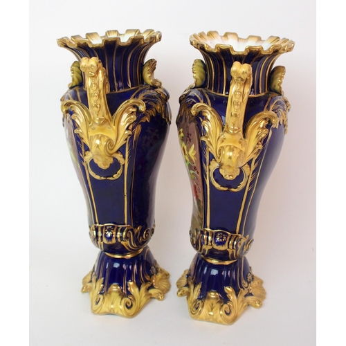 222 - A pair of Coalport painted porcelain vases