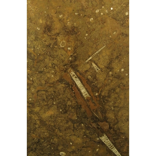 343 - A rectangular Fossilised Morocco marble table top