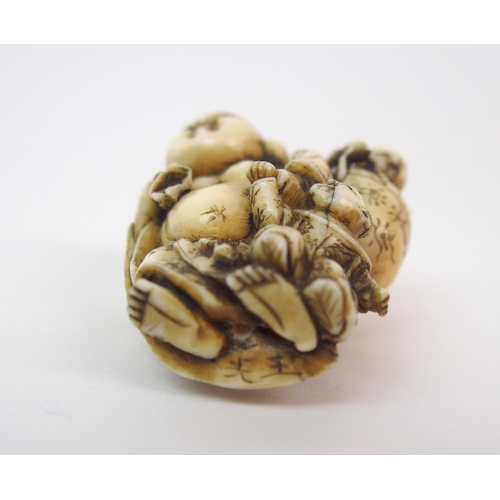 80 - A Japanese ivory netsuke