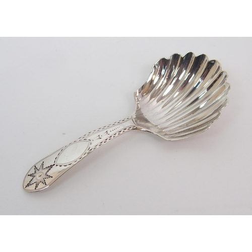 260 - An Irish silver caddy spoon