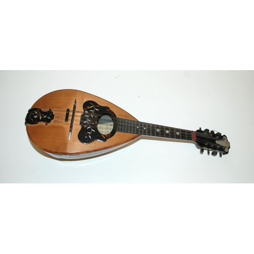 392 - A late 19th Century domed back mandolin