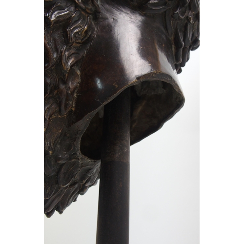 559 - A bronze classical head of a bearded man