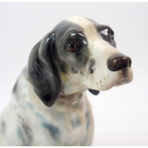 561 - A Royal Doulton figure of an English Setter