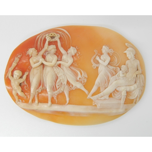 681 - A LARGE WELL CARVED SHELL CAMEO