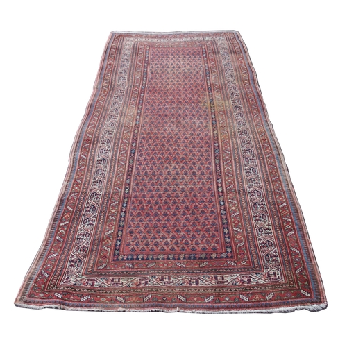 883 - AN ARAAK RED GROUND RUG