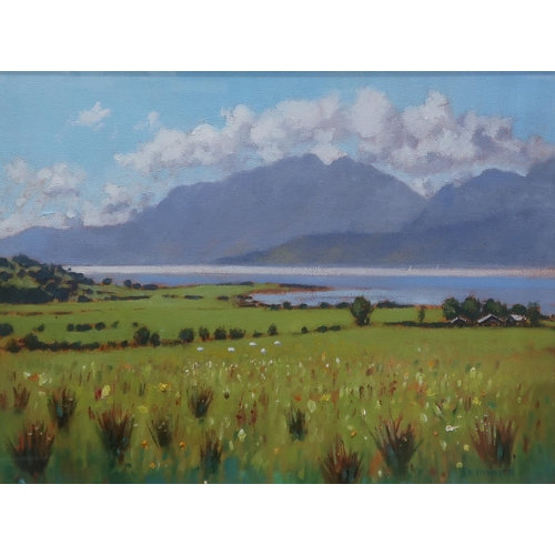 960 - ED HUNTER (SCOTTISH CONTEMPORARY) FIELD AND LOCH VIEW Oil on canvas, signed lower right, 33 x 44cmTo... 