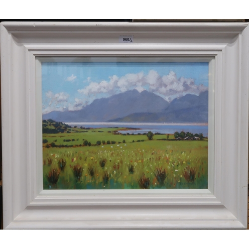 960 - ED HUNTER (SCOTTISH CONTEMPORARY) FIELD AND LOCH VIEW Oil on canvas, signed lower right, 33 x 44cmTo... 