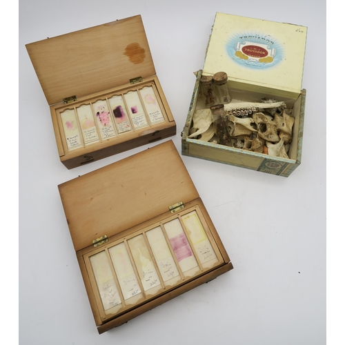 551 - Two cases of medical microscope slides to include brain tissue samples, together with a cigar box co... 