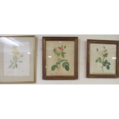 38 - A lot of six framed prints of flowers and another print of 