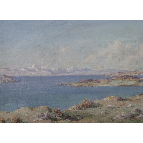 658 - IAN MCNICOL West Coast landscape, signed, oil on board, 30 x 40cm