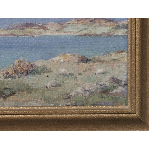 658 - IAN MCNICOL West Coast landscape, signed, oil on board, 30 x 40cm