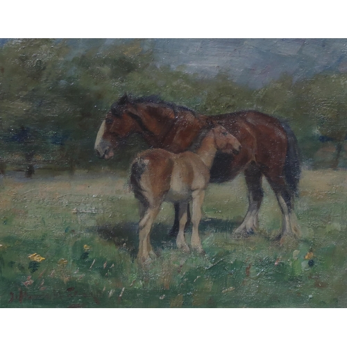 663 - SCOTTISH SCHOOL Shire horse and foal, oil on canvas, 20 x 24cm