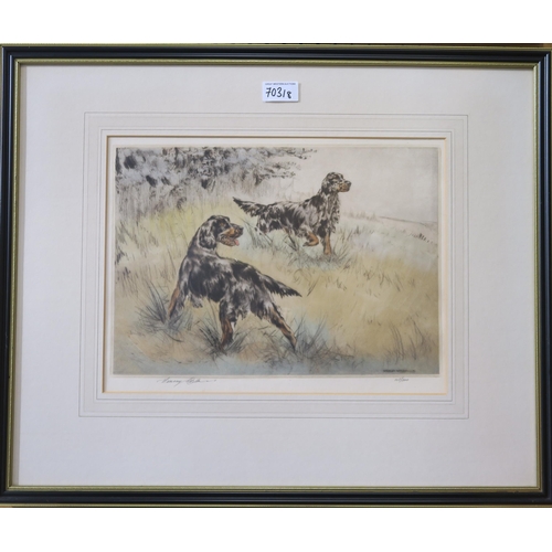 703 - HENRY WILKINSON (BRITISH 1921-2011) GUN DOGS Four coloured etchings, signed and numbered, ... 