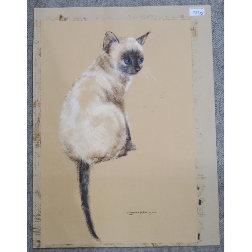 727 - POLLYANNA PICKERING (BRITISH) SIAMESE CAT Acrylic on paper (unframed), signed lower right,... 