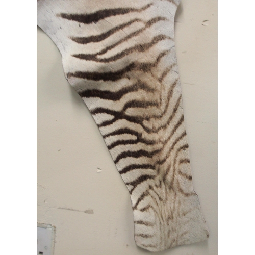 84 - An unmounted Zebra pelt rug, 338cm long x 204cm wide