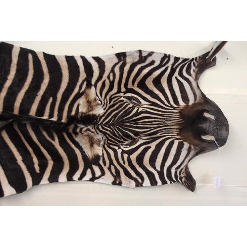 84 - An unmounted Zebra pelt rug, 338cm long x 204cm wide