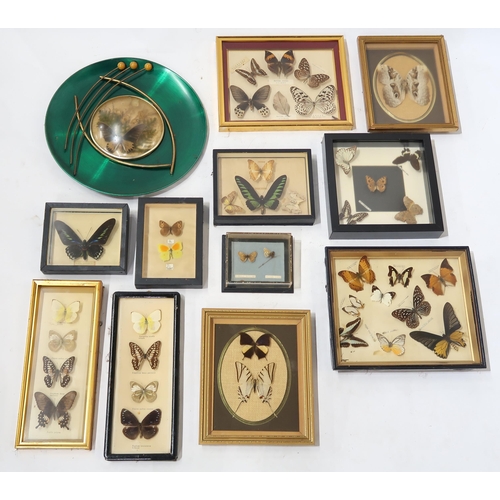 418 - A collection of glazed lepidoptery displays 