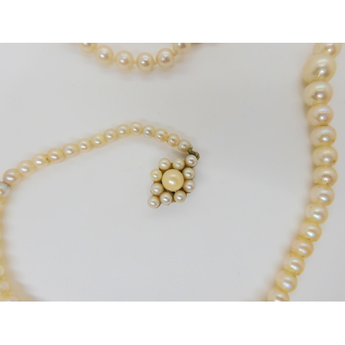 573 - Two strings of pearls, one is 41cm, with a 9ct gold pearl set clasp the other is 92cm, with a silver... 