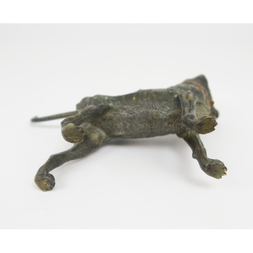 2216 - A 19TH/20TH CENTURY AUSTRIAN COLD PAINTED BRONZE NIB WIPE in the form of a German Mastiff, &nbs... 