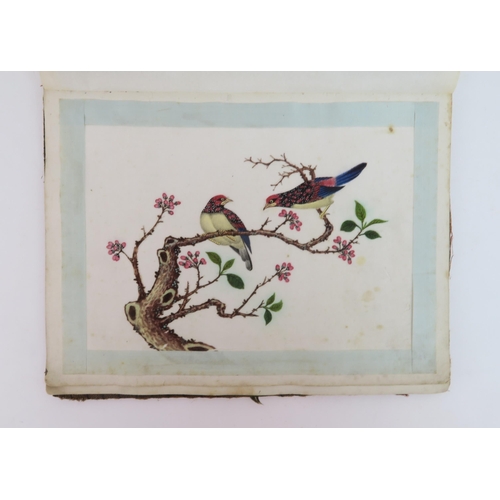 2363 - CANTON SCHOOLTen ornithological pith paper paintings with various species on branches, four framed, ... 