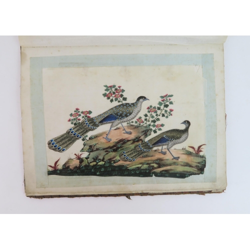 2363 - CANTON SCHOOLTen ornithological pith paper paintings with various species on branches, four framed, ... 