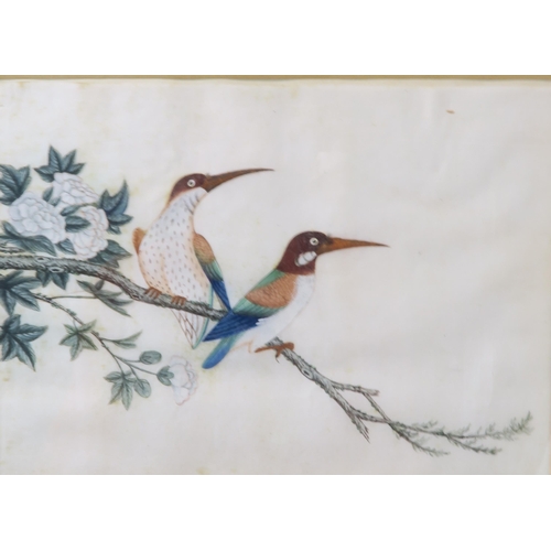 2363 - CANTON SCHOOLTen ornithological pith paper paintings with various species on branches, four framed, ... 