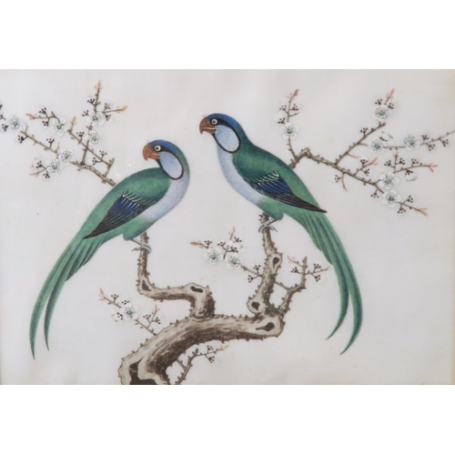 2363 - CANTON SCHOOLTen ornithological pith paper paintings with various species on branches, four framed, ... 