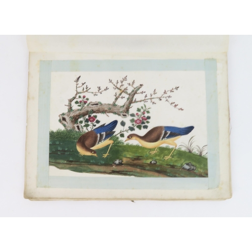 2363 - CANTON SCHOOLTen ornithological pith paper paintings with various species on branches, four framed, ... 